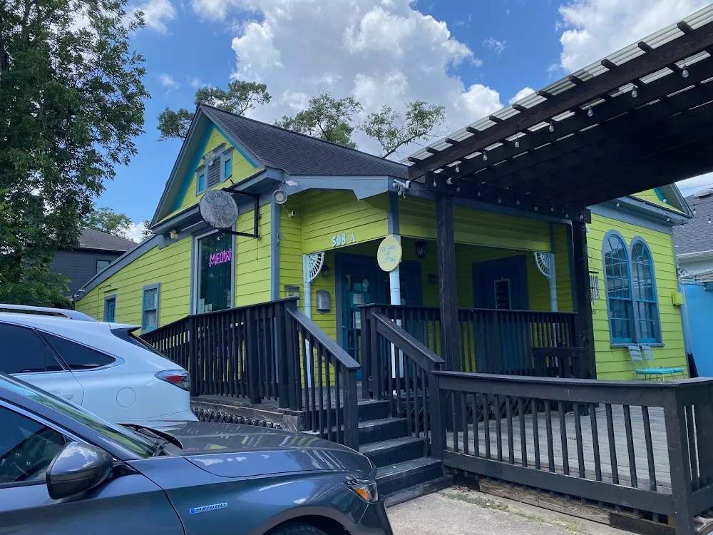 El Gato Coffeehouse cat cafe in Houston - atmosphere