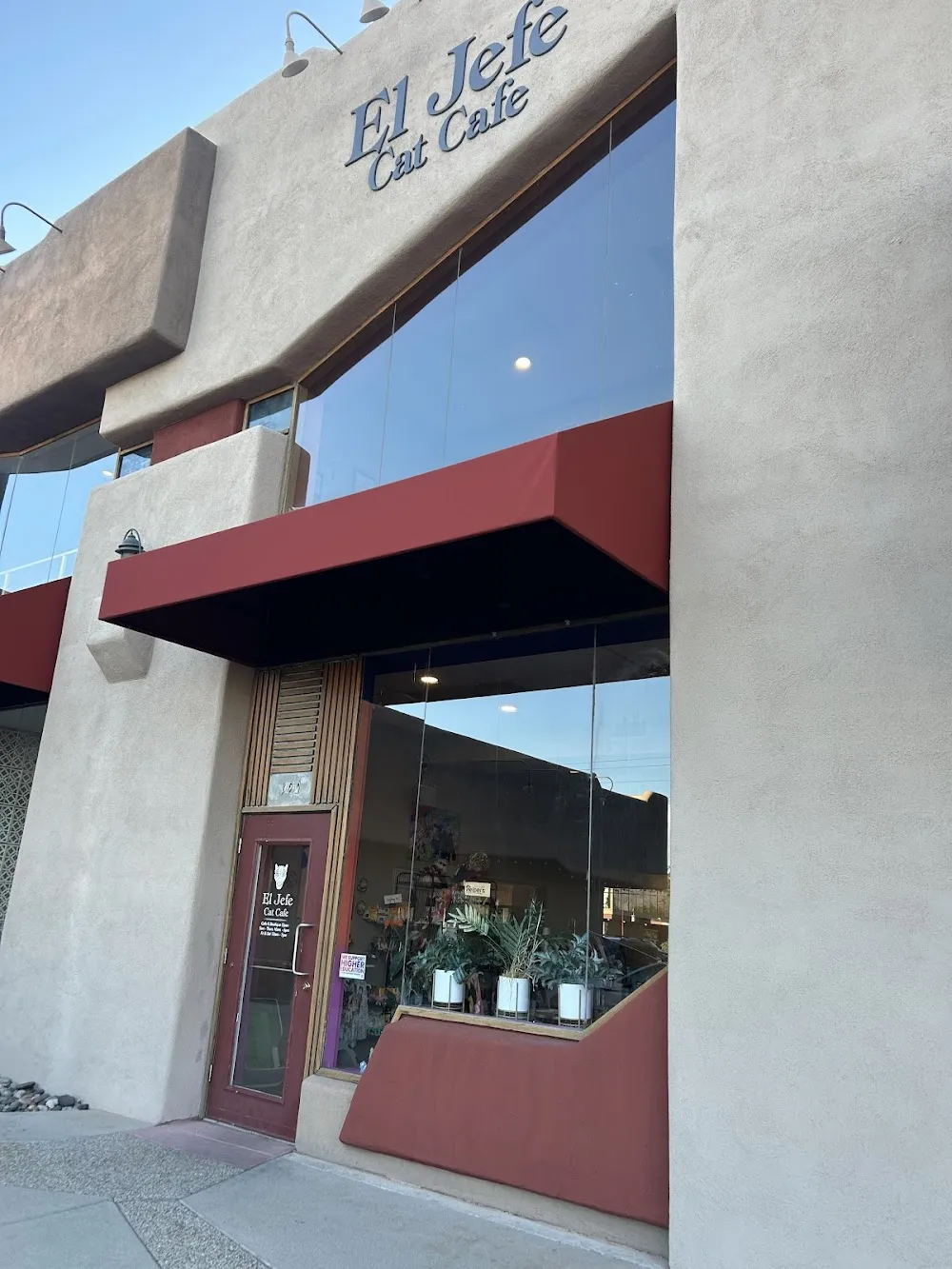 El Jefe Cat Cafe cat cafe in Tucson - atmosphere