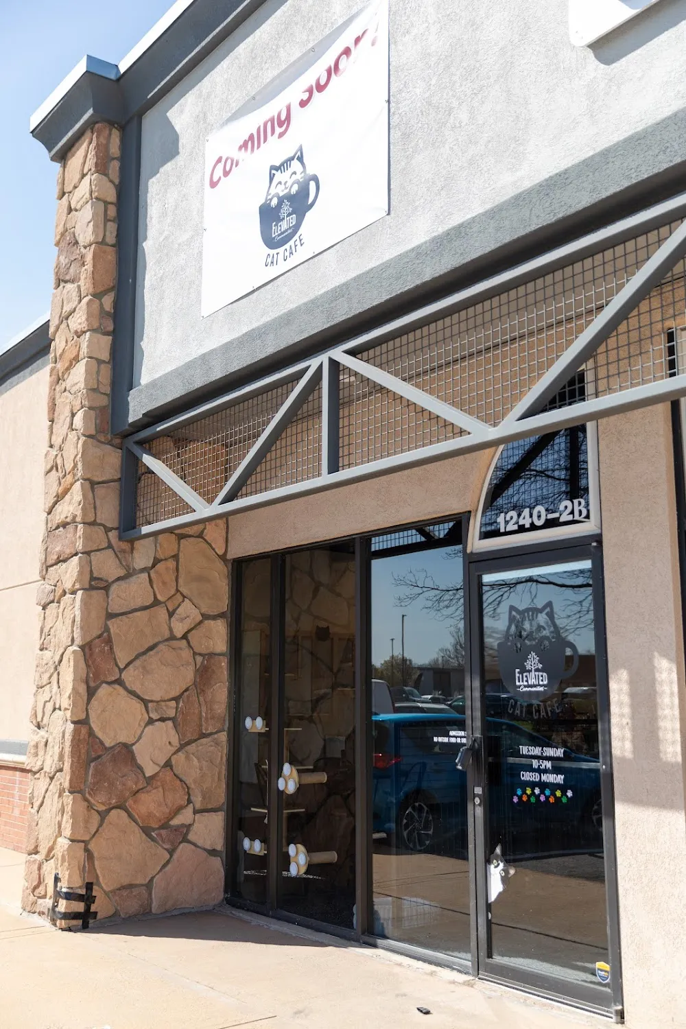 Elevated Communities Cat Cafe cat cafe in Longmont - interior
