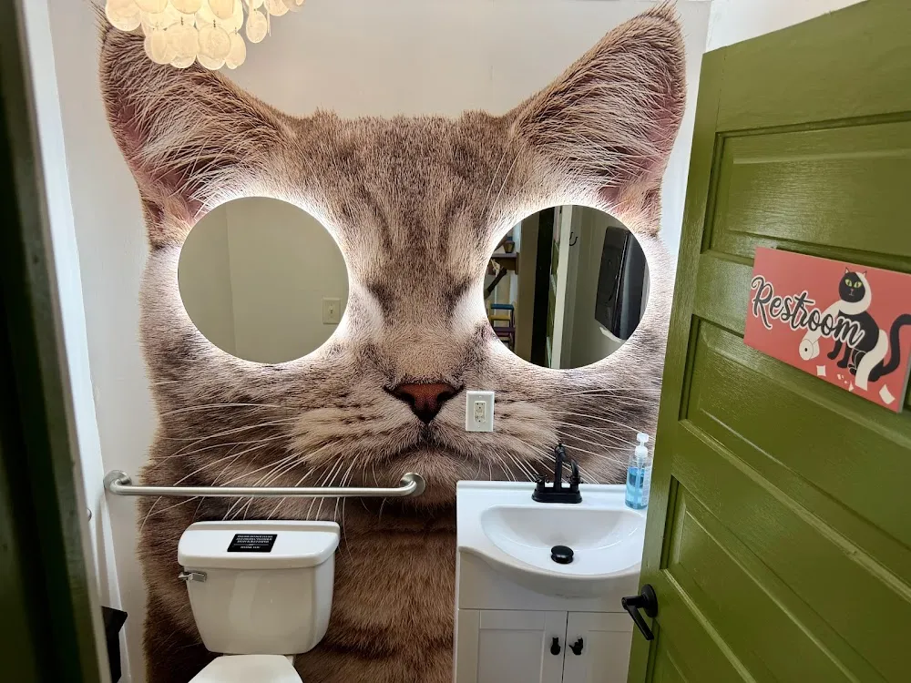 Entangled Cat Cafe cat cafe in Watkinsville - atmosphere