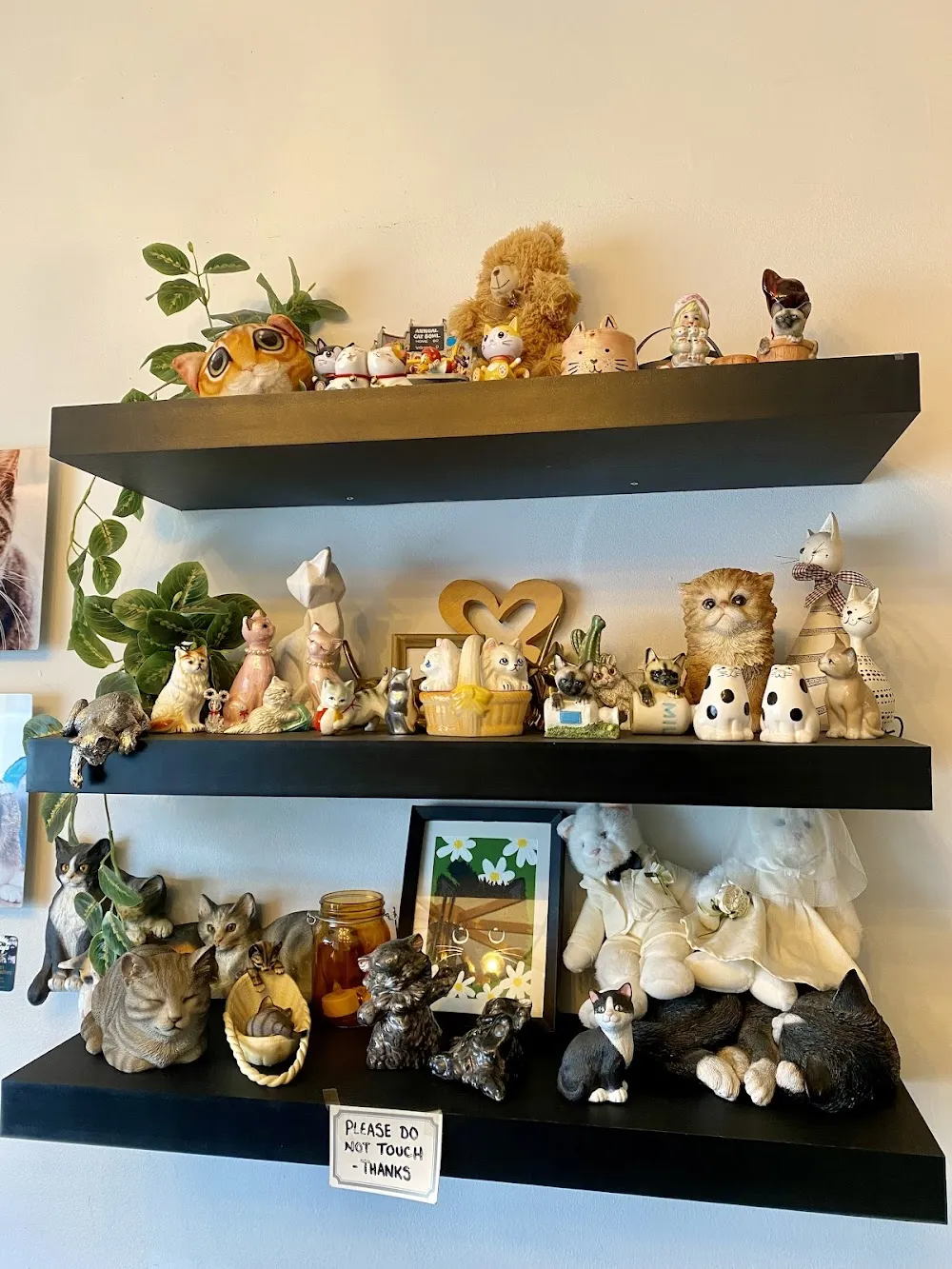 Excalipurr Cat Cafe cat cafe in Regina - atmosphere