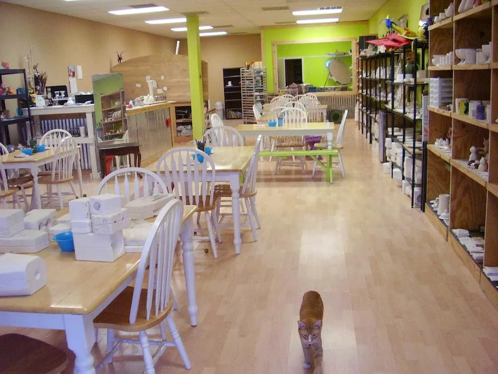 Fat Cat Art Cafe cat cafe in Flowood - atmosphere