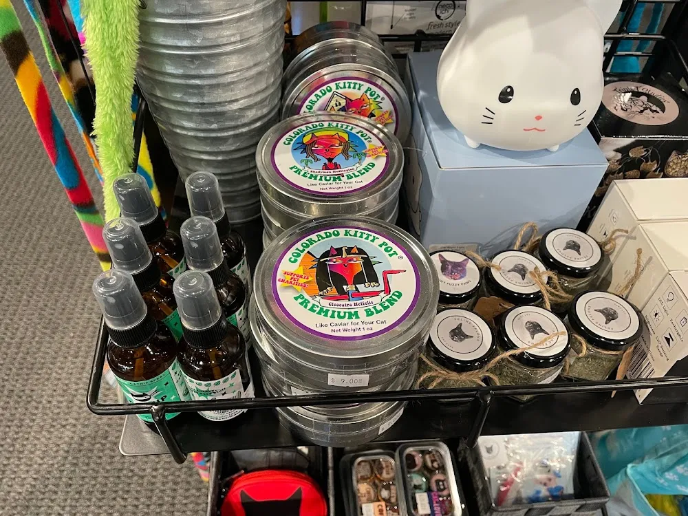 Feline Felons Cat Cafe cat cafe in Waldorf - cats