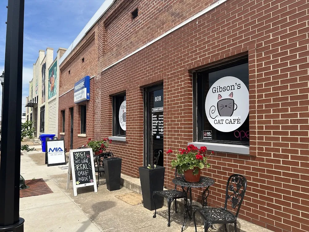 Gibson's Cat Café cat cafe in Conway - interior