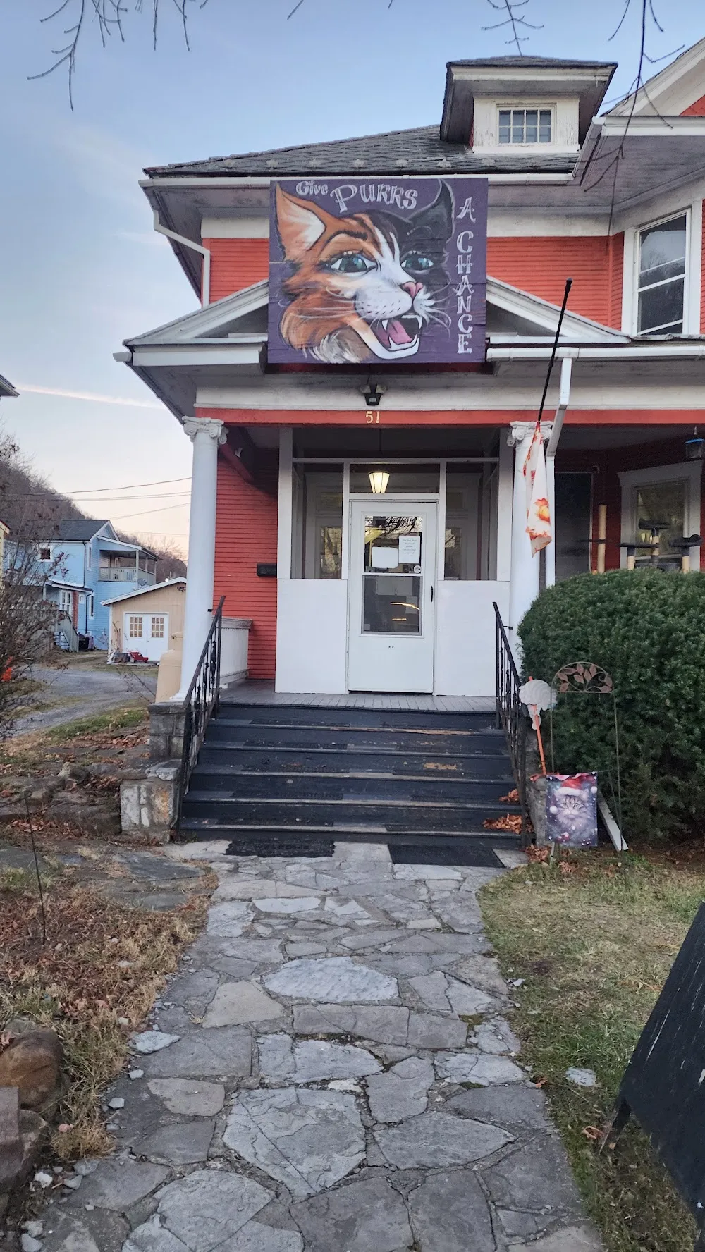 Give Purrs A Chance cat cafe in Berkeley Springs - cats