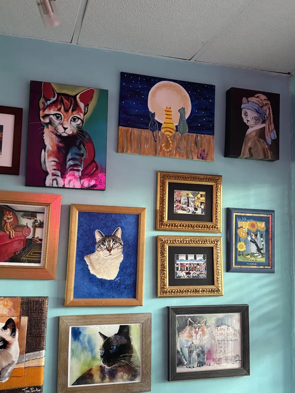 Good Luck Cat Cafe cat cafe in Fort Lauderdale - interior