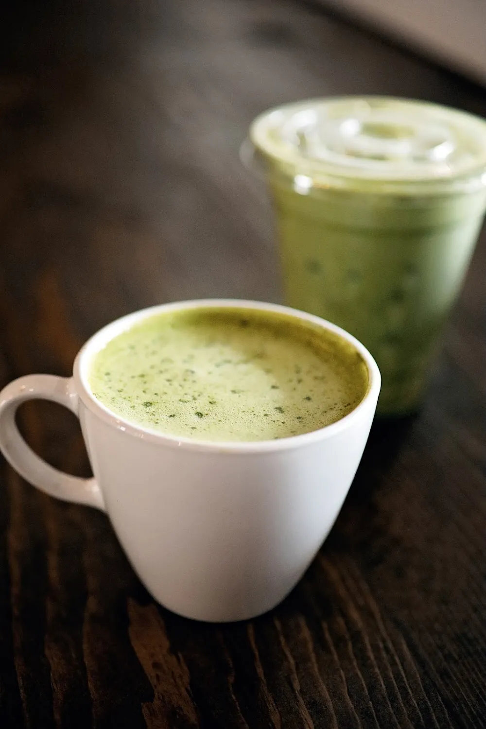 Happy Cat Cafe cat cafe in Grand Rapids - cats