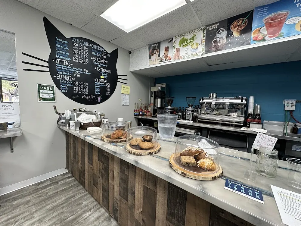 Hawaii Cat Cafe cat cafe in Honolulu - interior