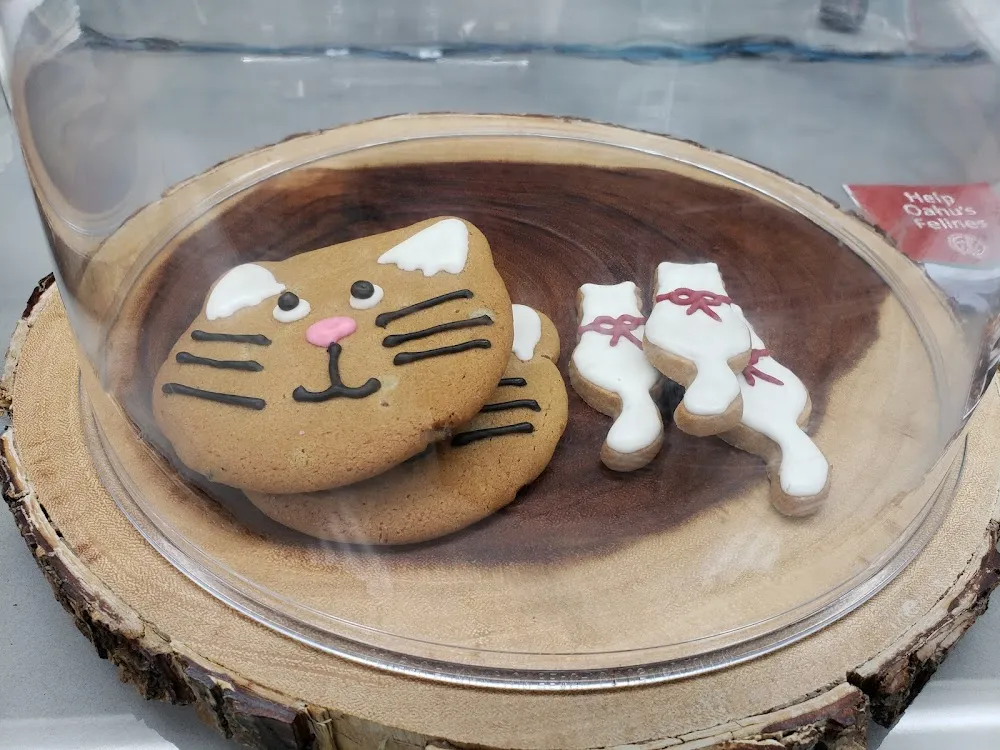 Hawaii Cat Cafe cat cafe in Honolulu - cats