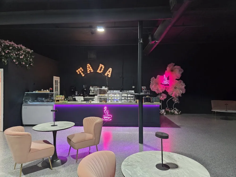 Katy's Cat Cafe cat cafe in Sarasota - atmosphere