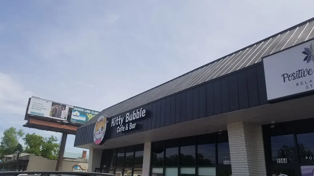 Kitty Bubble Cafe & Bar cat cafe in Columbus - interior