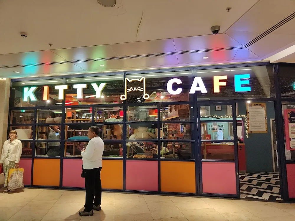 Kitty Café Birmingham cat cafe in Birmingham - atmosphere