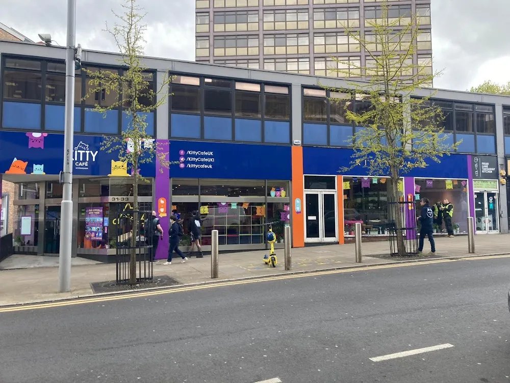 Kitty Café cat cafe in Nottingham - interior