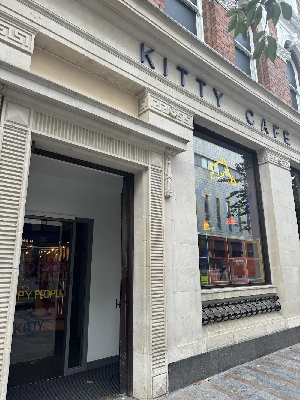 Kitty Cafe cat cafe in Leeds - interior