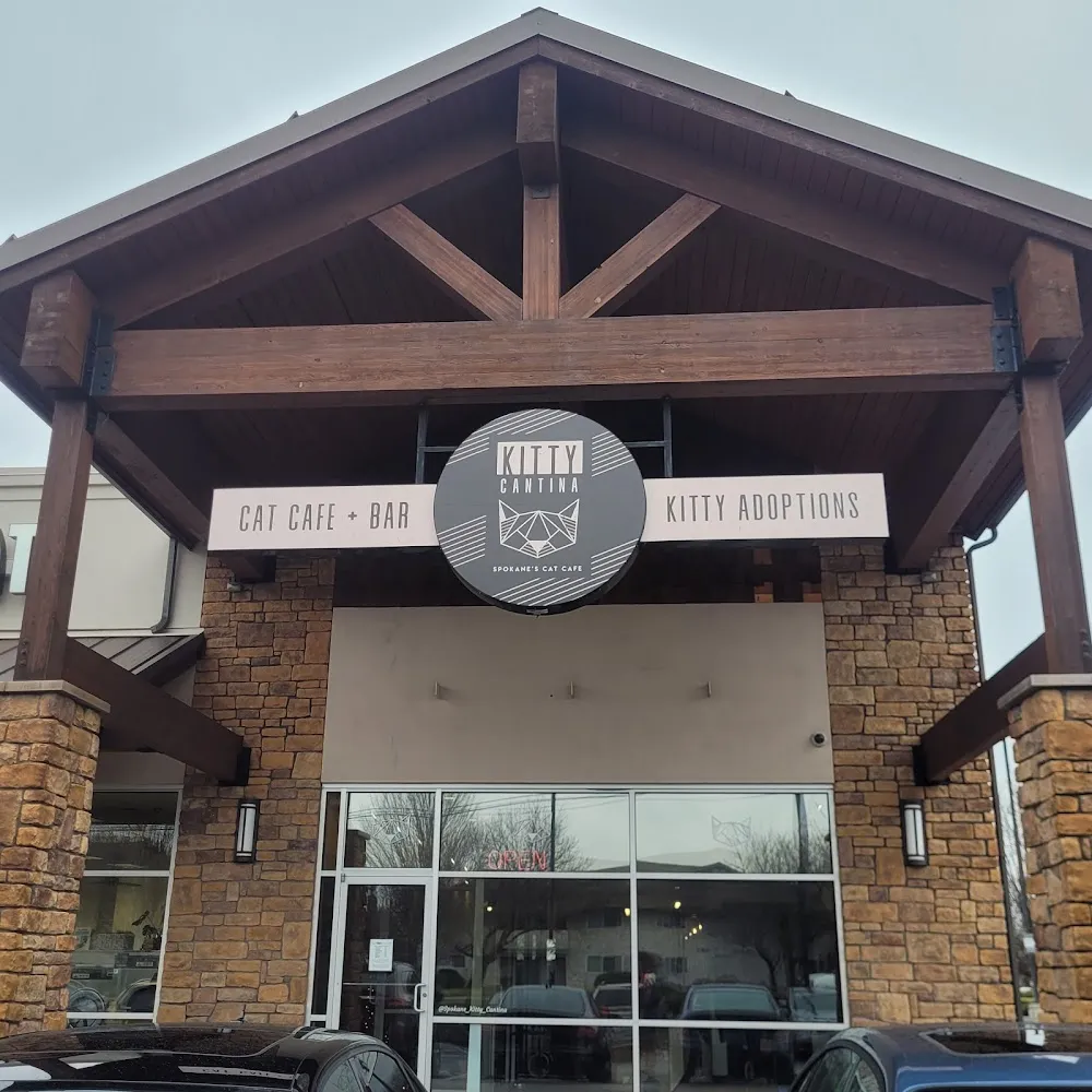 Kitty Cantina cat cafe in Spokane - atmosphere