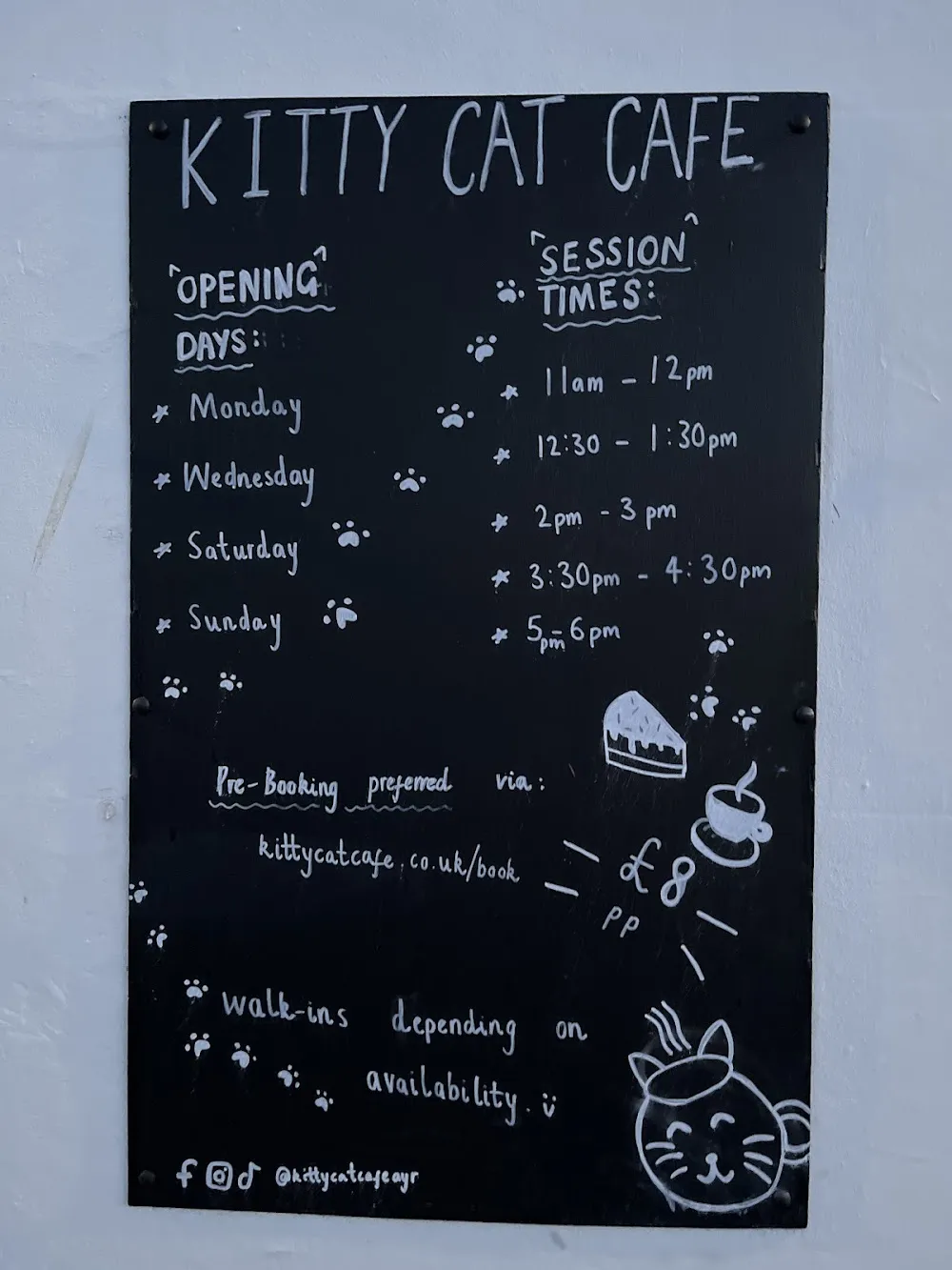 Kitty Cat Cafe cat cafe in Ayr - atmosphere