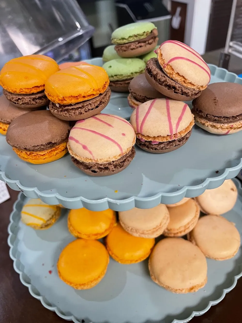 Kitty Kingdom Cat Café cat cafe in Chesapeake - cats