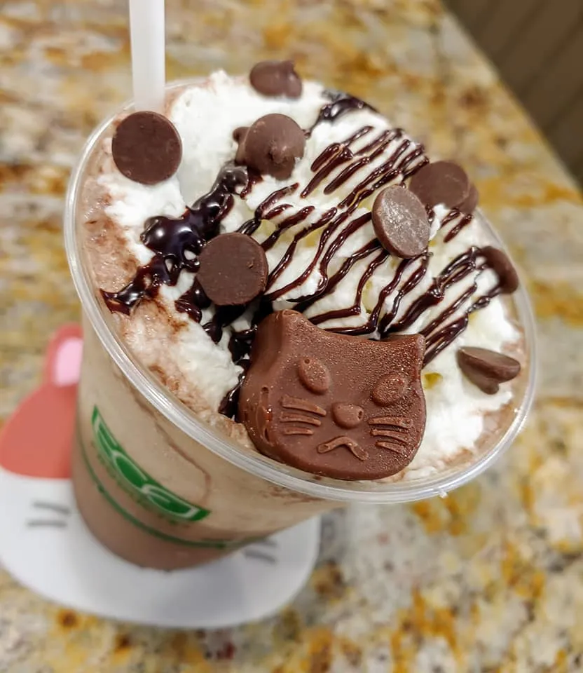 Kitty Korner Cafe cat cafe in Barre - cats