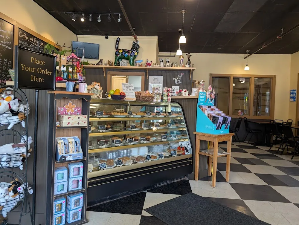 Kitty Korner Cafe cat cafe in Barre - atmosphere