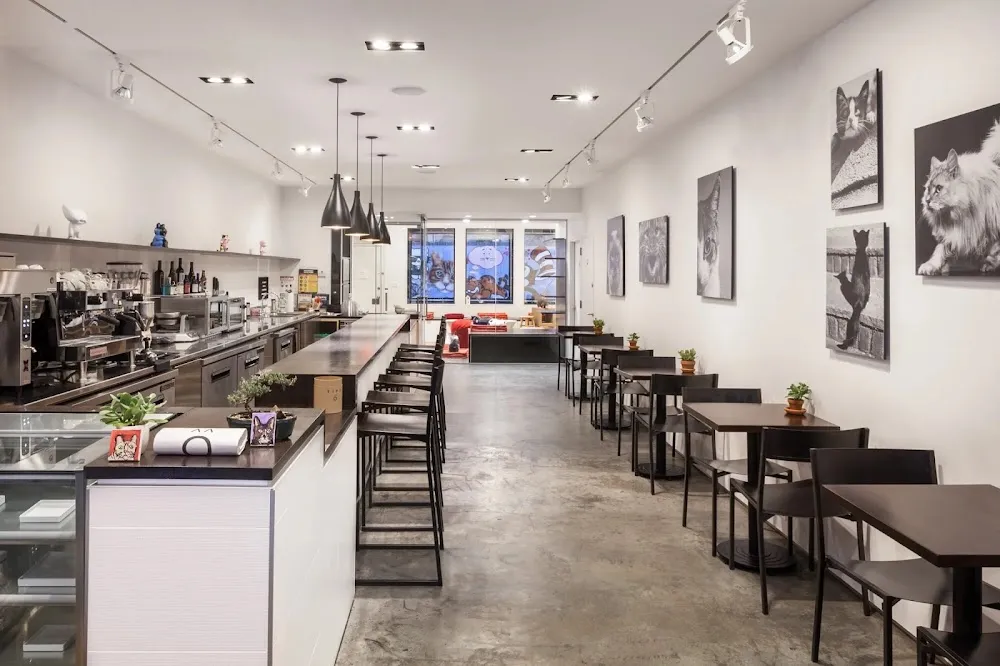 Koneko cat cafe in New York - interior