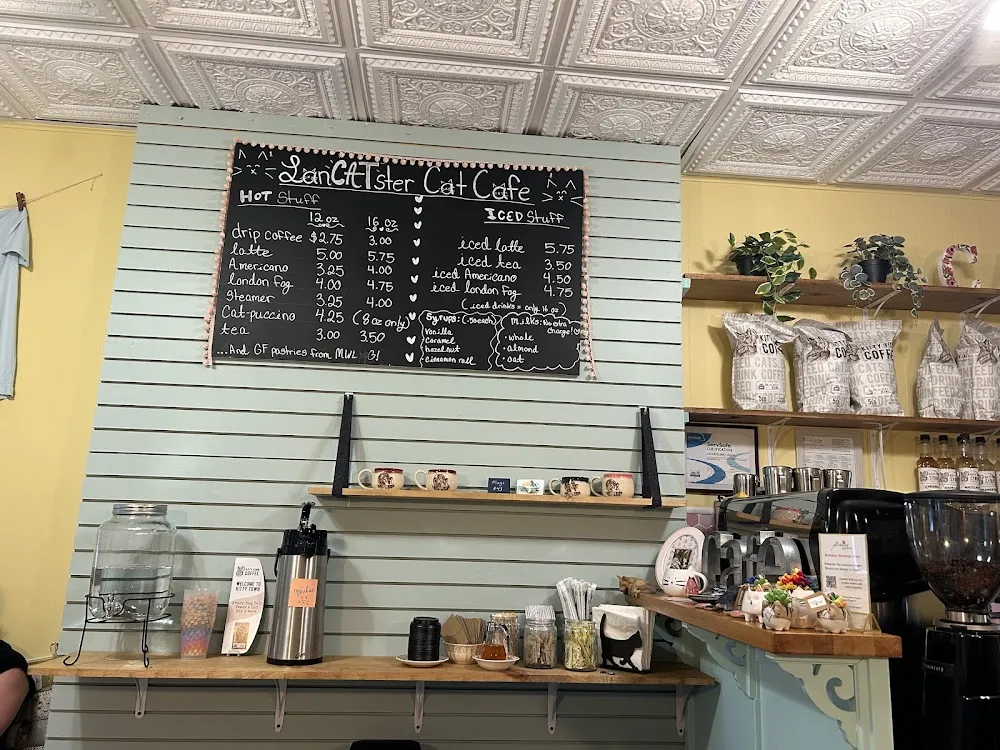 LanCATster Cat Cafe cat cafe in Lancaster - interior