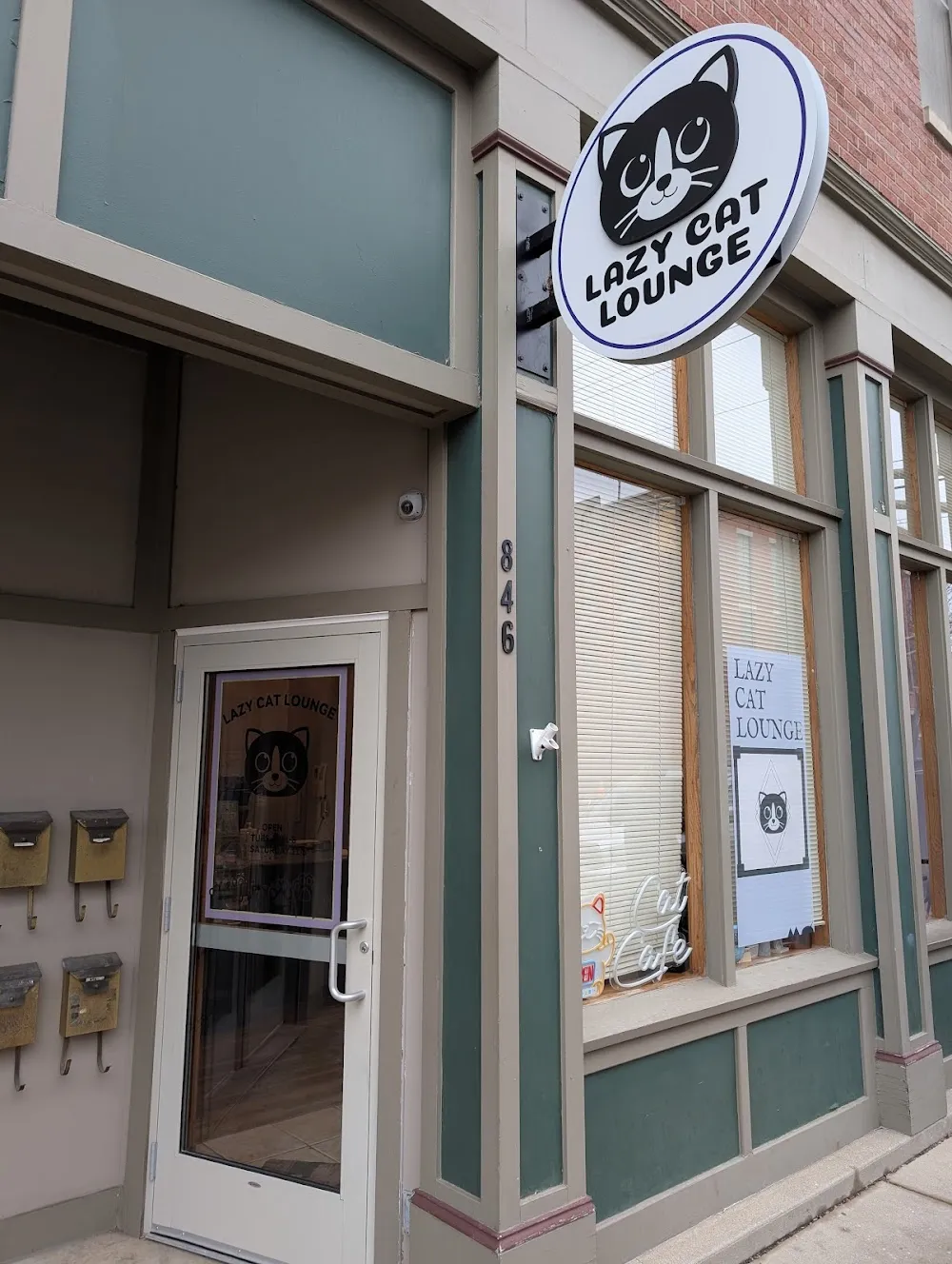 Lazy Cat Lounge cat cafe in Lafayette - interior