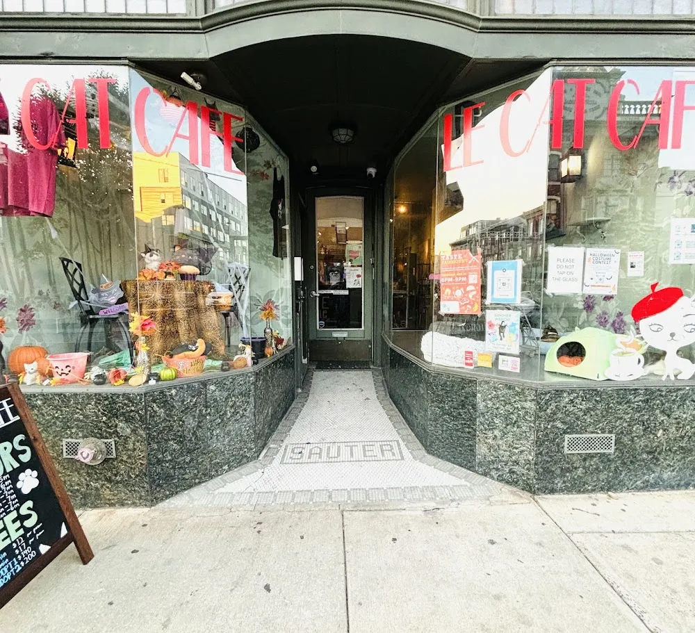 Le Cat Cafe cat cafe in Philadelphia - interior