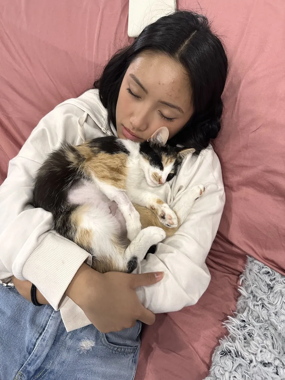 Lone Star Pawz CATfé cat cafe in Pearland - atmosphere