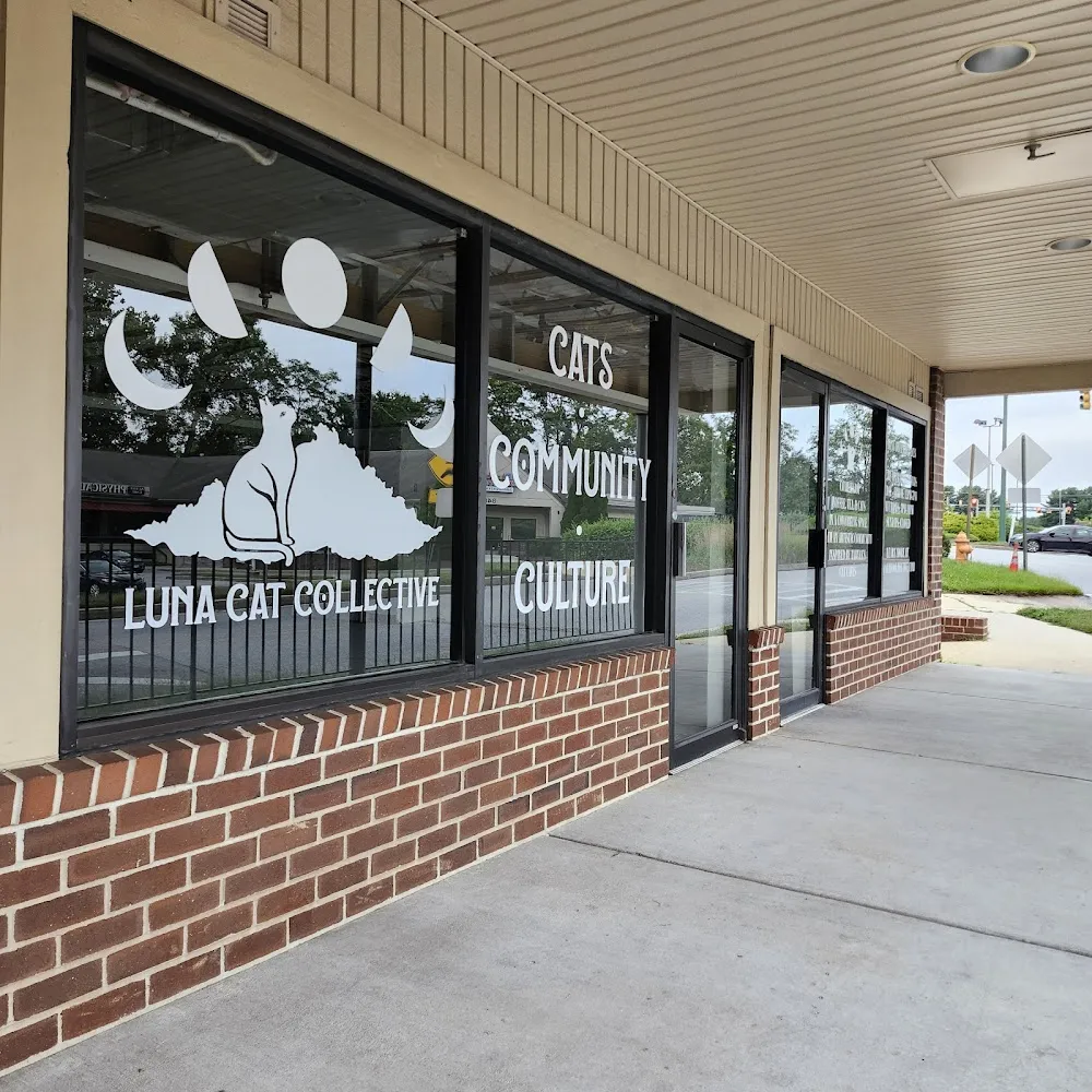 Luna Cat Collective cat cafe in Ellicott City - interior