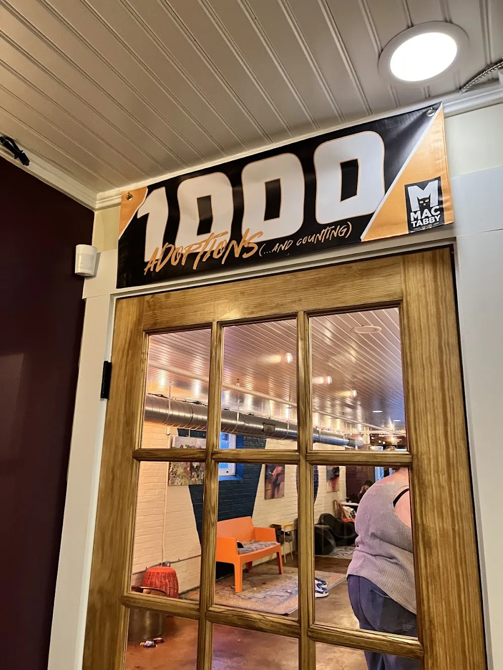 Mac Tabby Cat Cafe - Concord cat cafe in Concord - interior