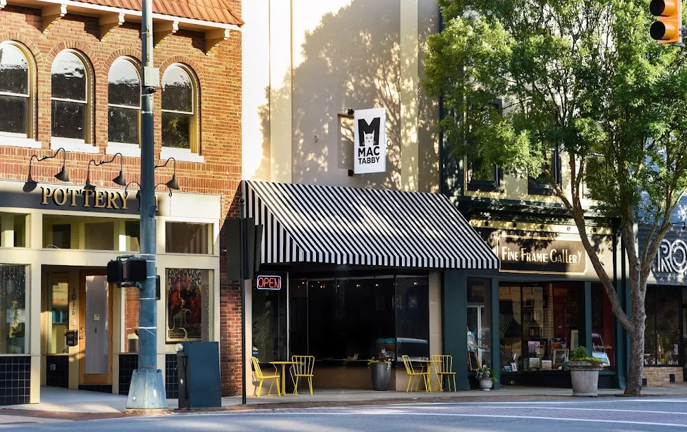 Mac Tabby Cat Cafe - Salisbury cat cafe in Salisbury - interior