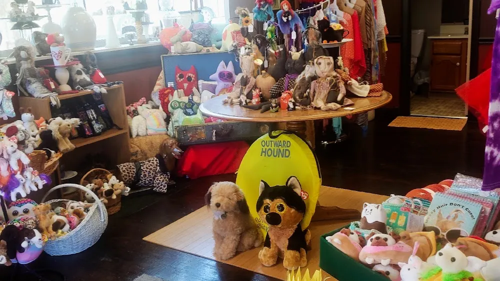 Mad Dogs and Crazy Cats cat cafe cat cafe in Alliance - cats