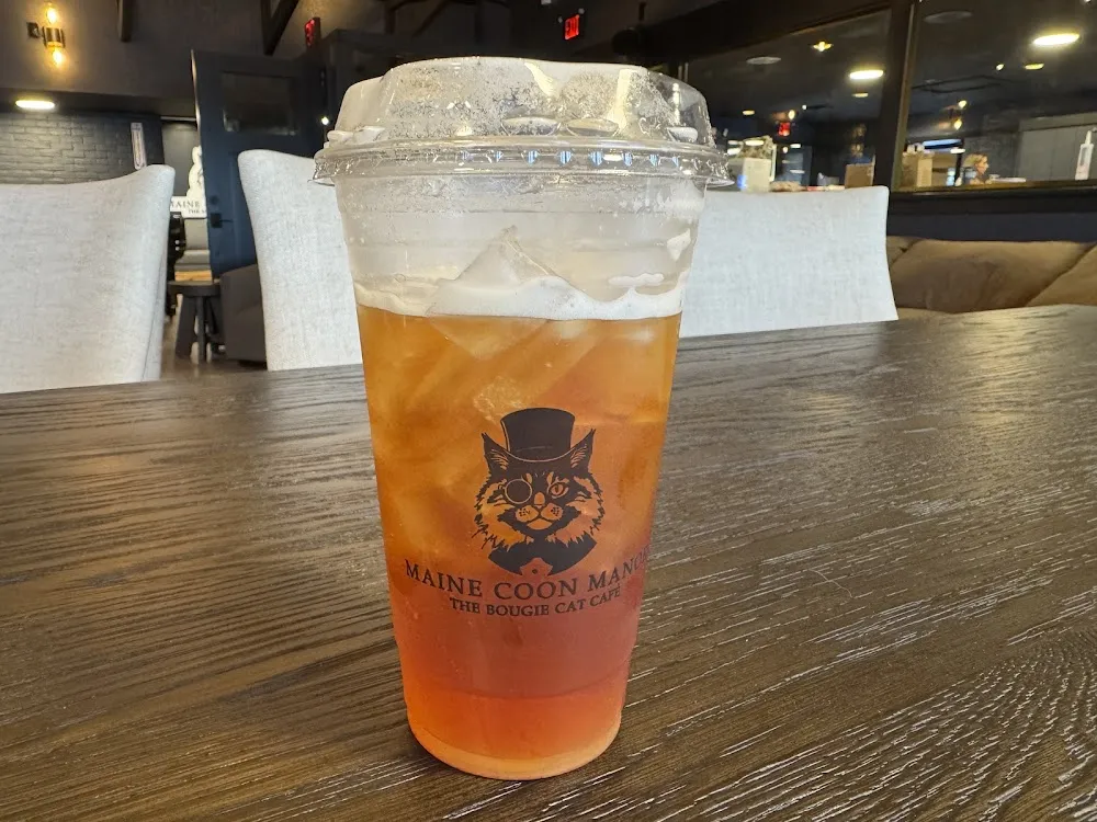 Maine Coon Manor Cat Cafe - cat cafe in Kissimmee