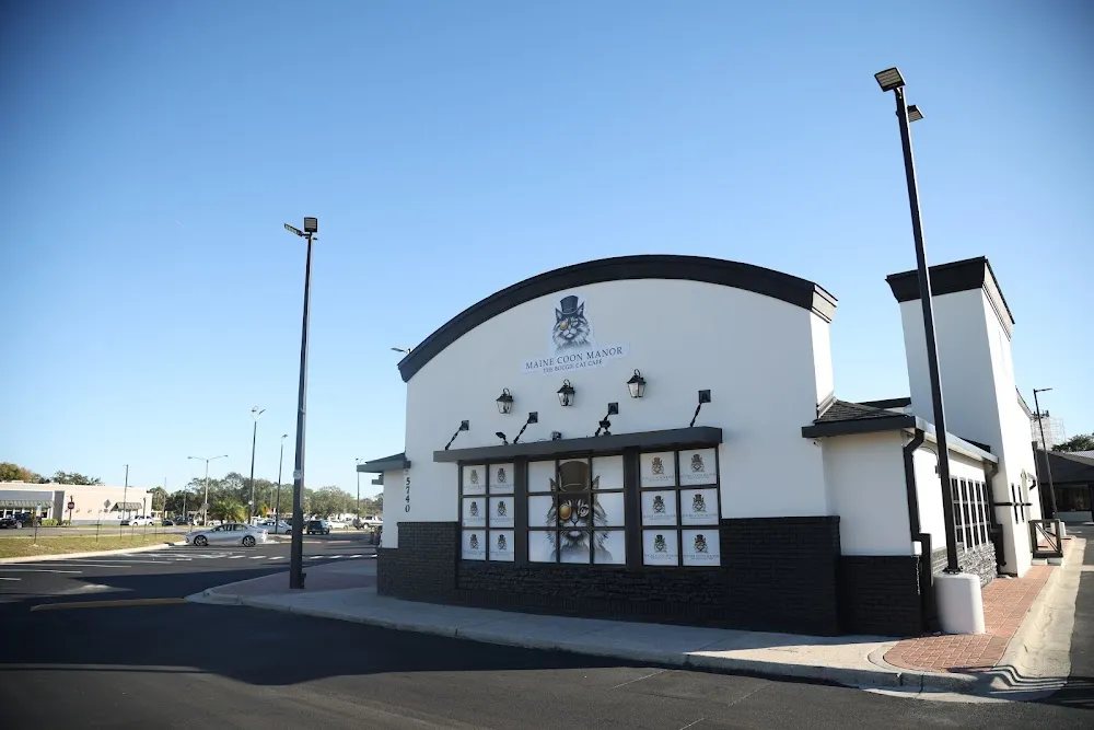 Maine Coon Manor Cat Cafe - cat cafe in Kissimmee