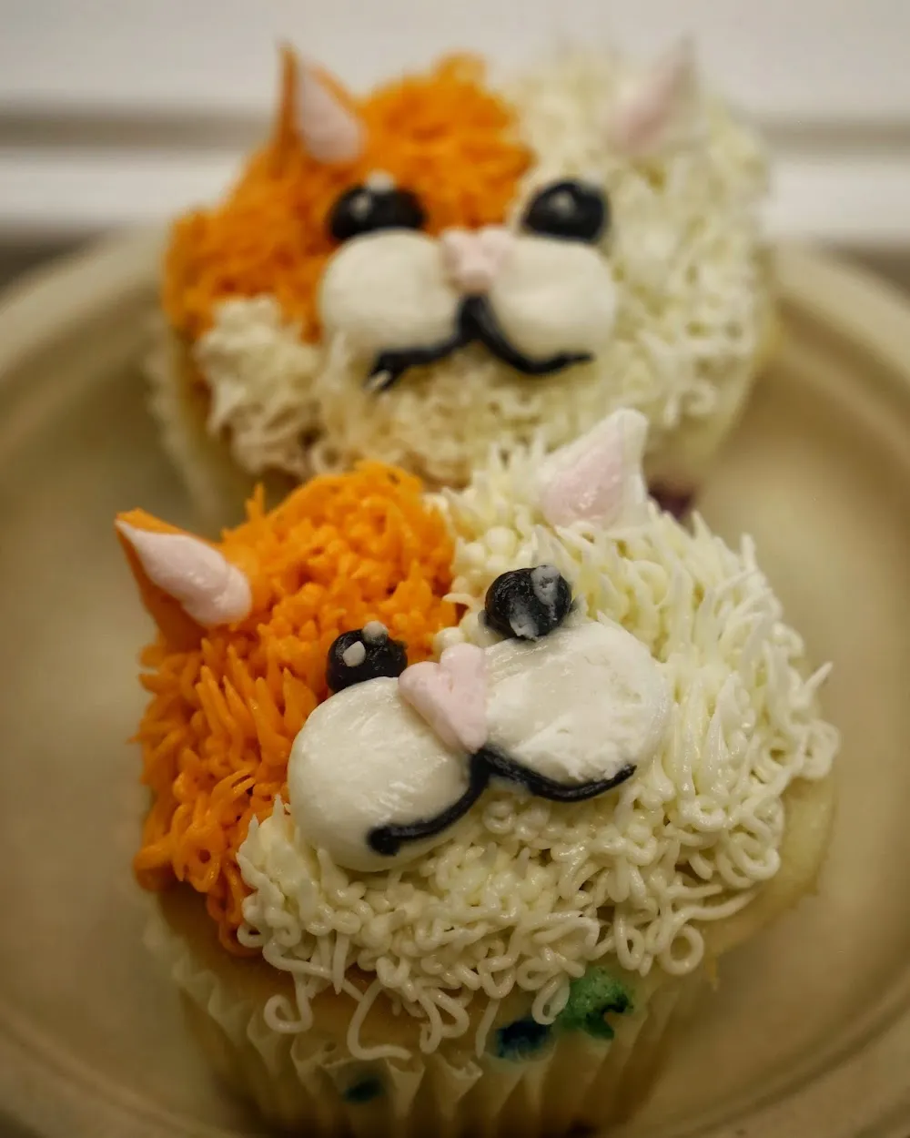 Marcie's Angels Cat Cafe cat cafe in Glastonbury - cats