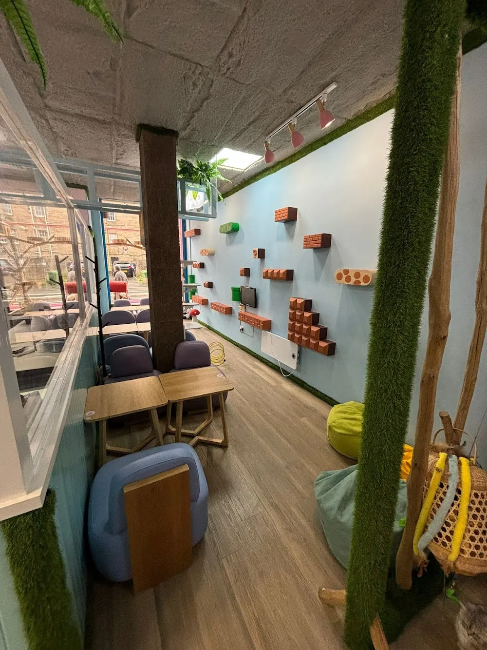 Meow Cat Cafe cat cafe in Glasgow - interior