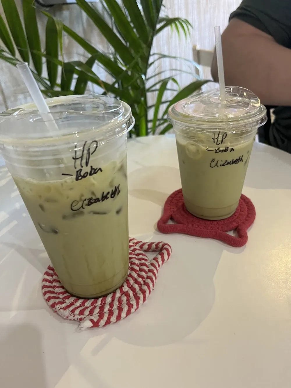 Meow & Mocha Cat Cafe - cat cafe in Guthrie