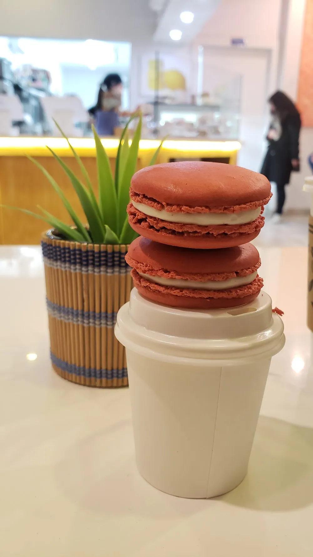 Meow Parlour cat cafe in New York - cats