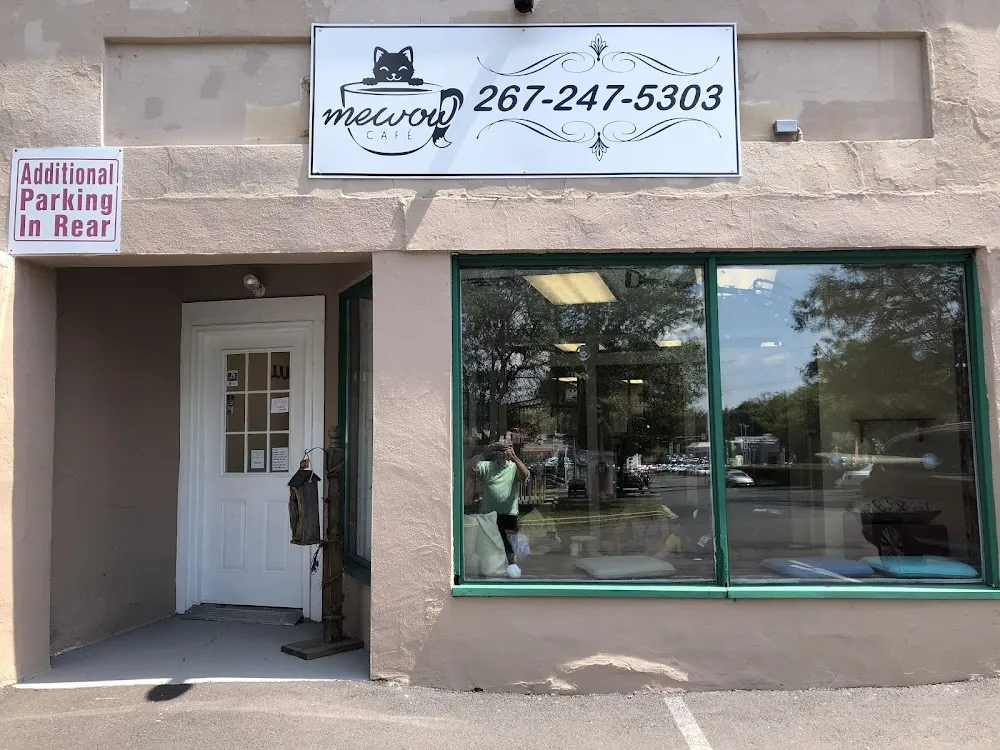 MeWow Cat Cafe cat cafe in Doylestown - interior