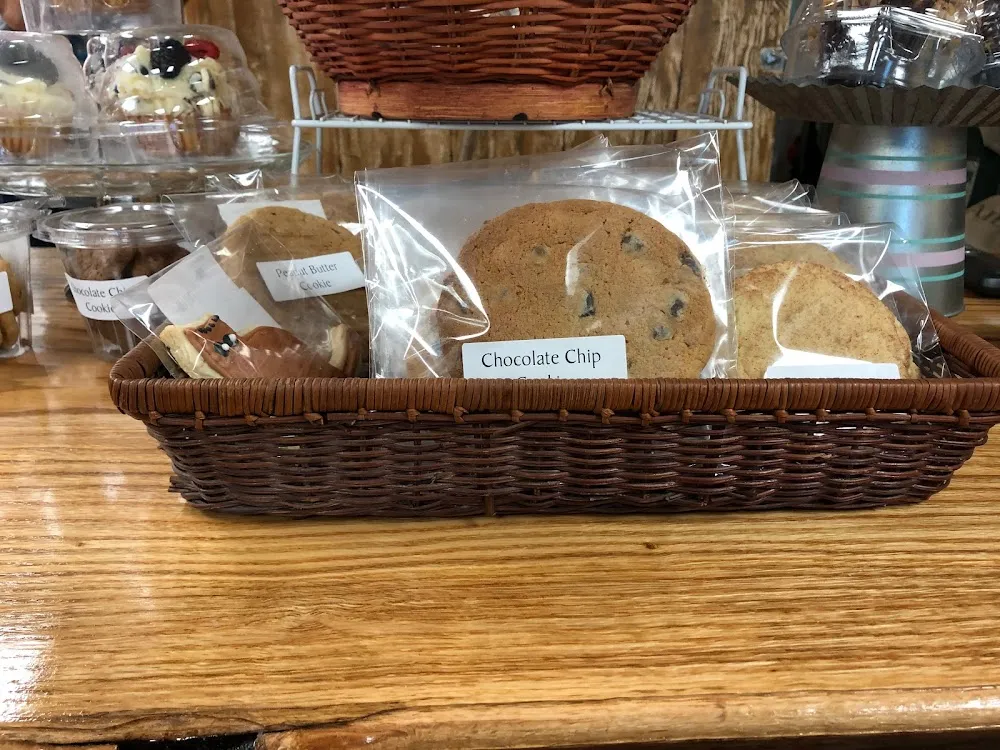 MeWow Cat Cafe cat cafe in Doylestown - atmosphere