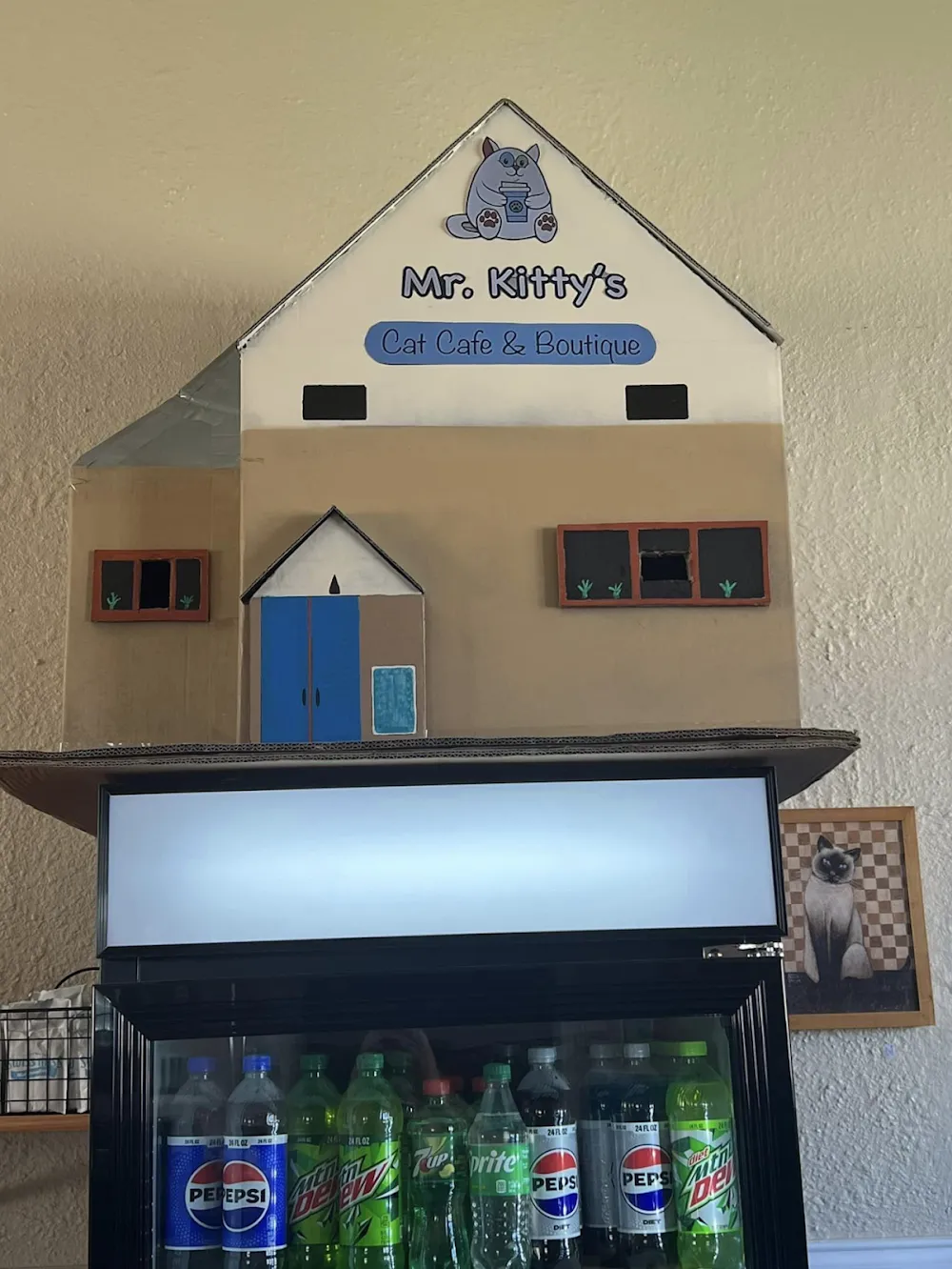 Mr. Kitty's Cat Café & Boutique cat cafe in Eau Claire - interior