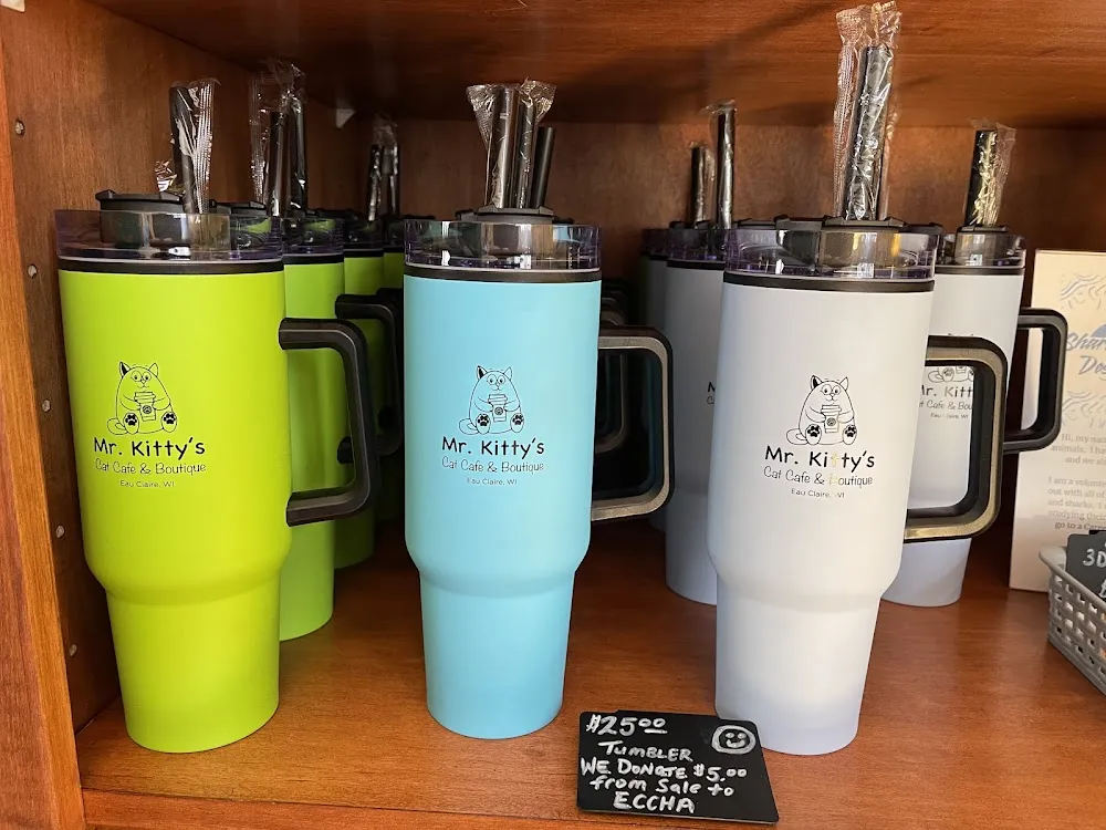 Mr. Kitty's Cat Café & Boutique cat cafe in Eau Claire - cats