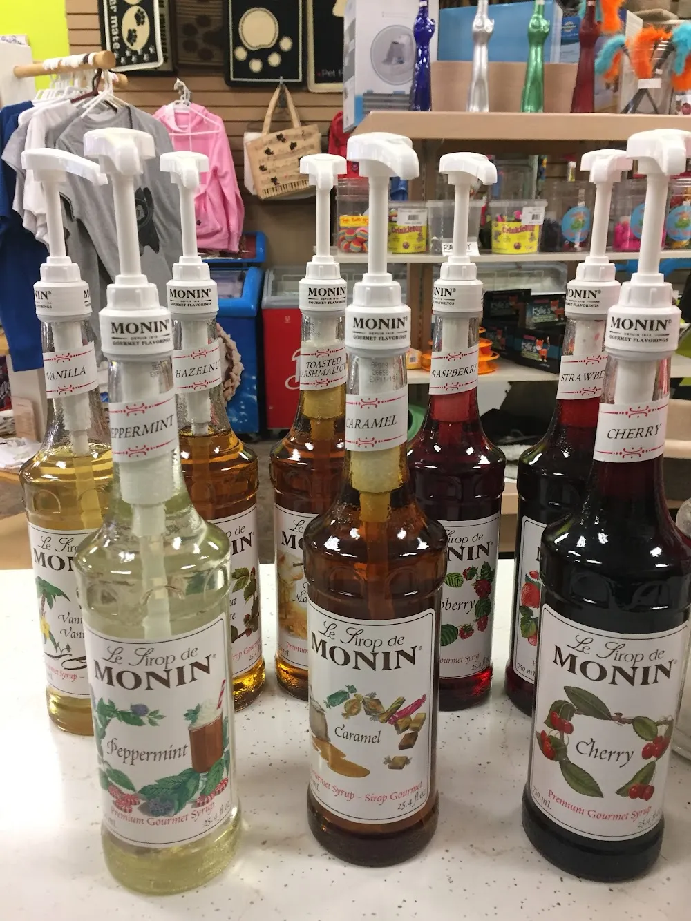 My Kitty Cafe cat cafe in Guelph - cats