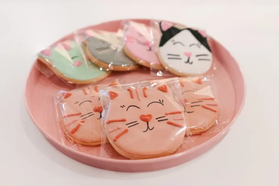 NEKO Cat Cafe Seattle cat cafe in Seattle - cats