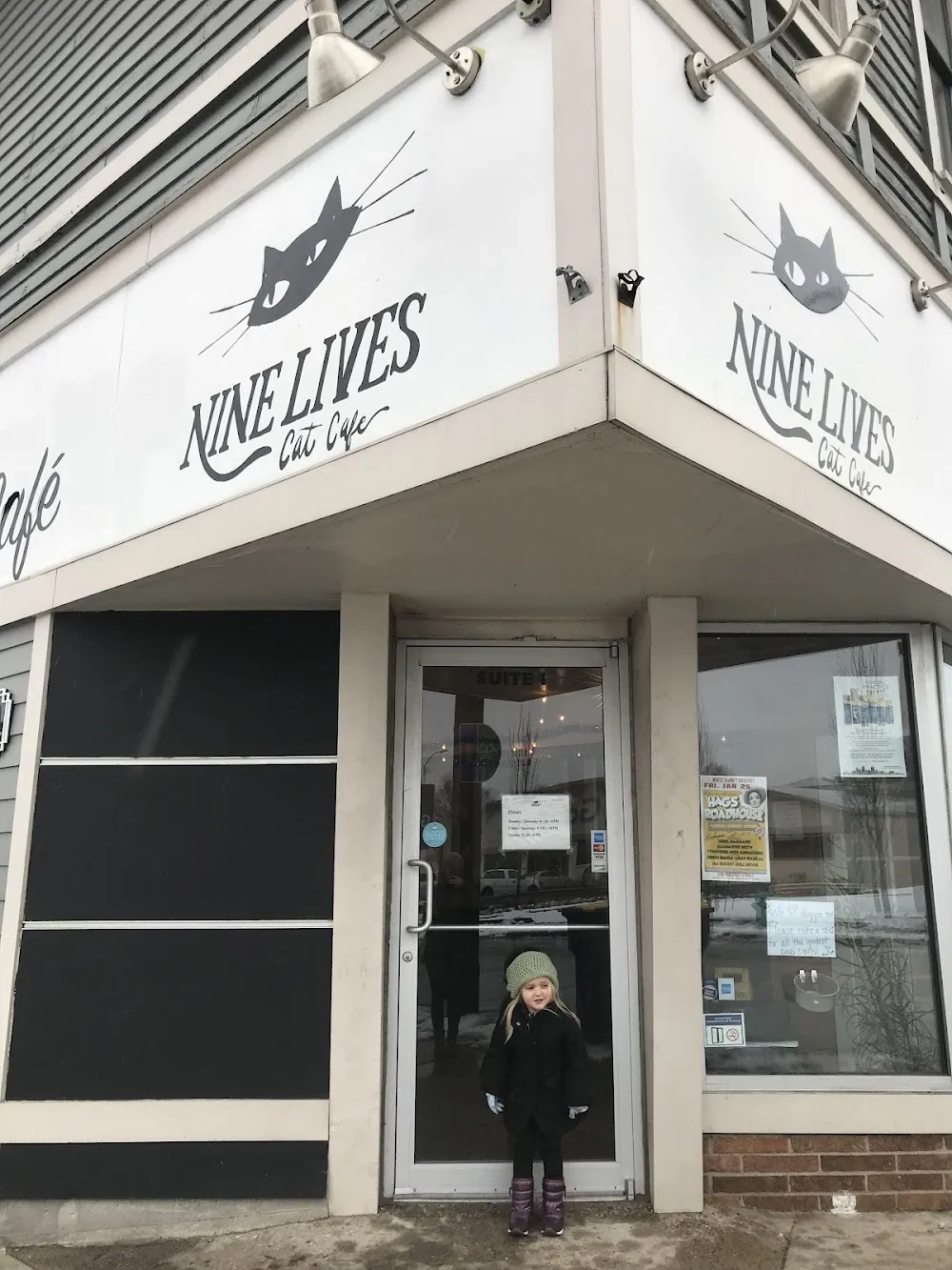 Nine Lives Cafe & Cat Lounge cat cafe in Indianapolis - atmosphere