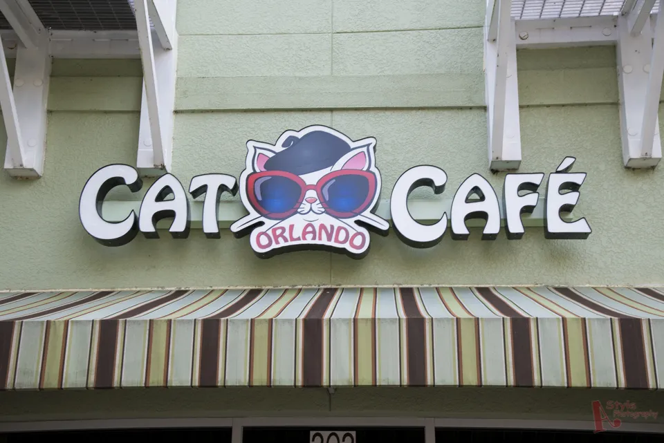 Orlando Cat Café cat cafe in Clermont - atmosphere