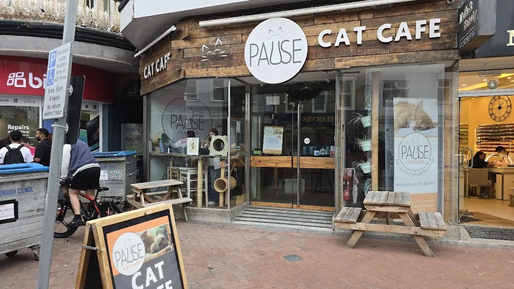 Pause Cat Café cat cafe in Bournemouth - interior