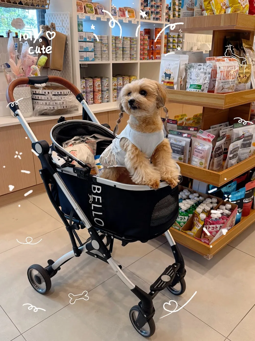 PETPLS Pet Food and Supply cat cafe in Richmond - atmosphere