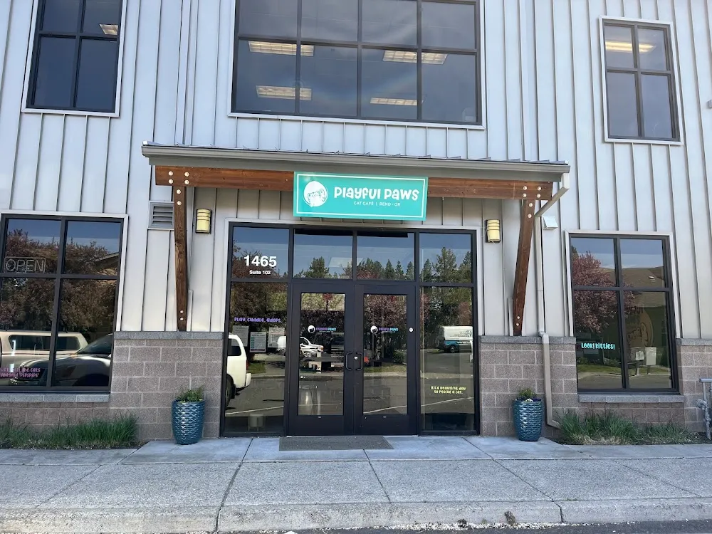 Playful Paws Cat Café cat cafe in Bend - interior