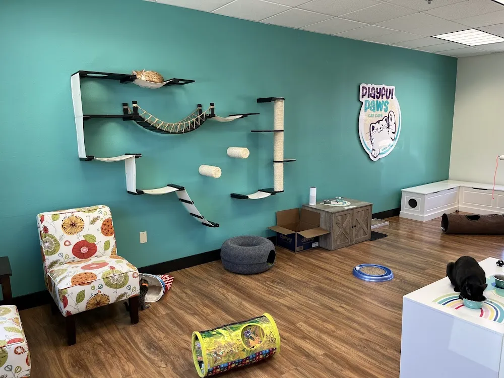 Playful Paws Cat Café cat cafe in Bend - atmosphere